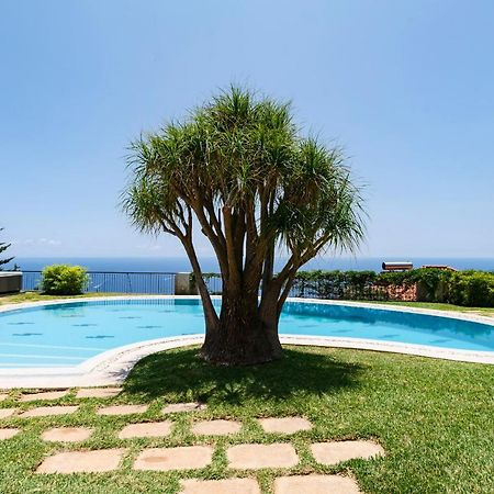 Vila Eucalipto By An Island Apart Funchal  Buitenkant foto