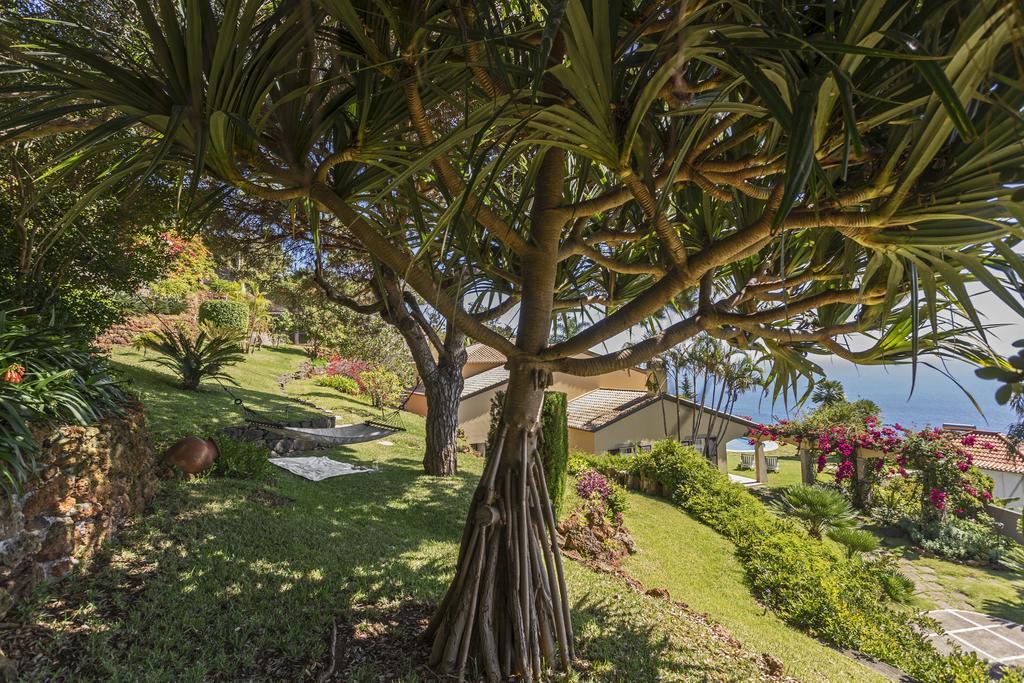 Vila Eucalipto By An Island Apart Funchal  Buitenkant foto